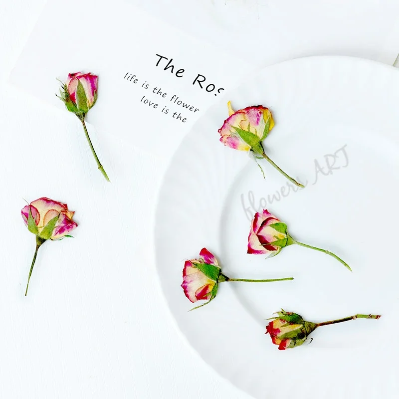 Photo Frame Baby - Petali di Rosa Pressati, Fiori Secchi