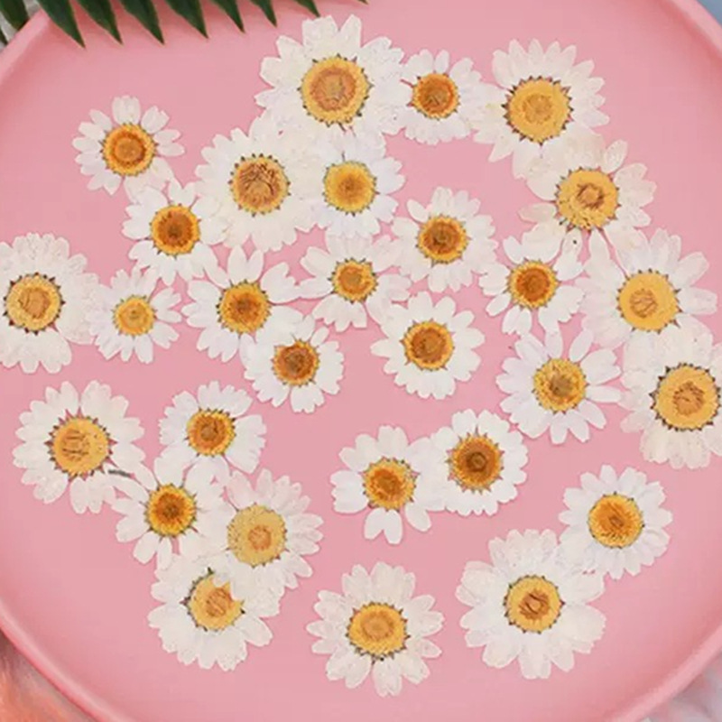 Photo Frame Baby - 100 Pezzi di Fiori Secchi Naturali