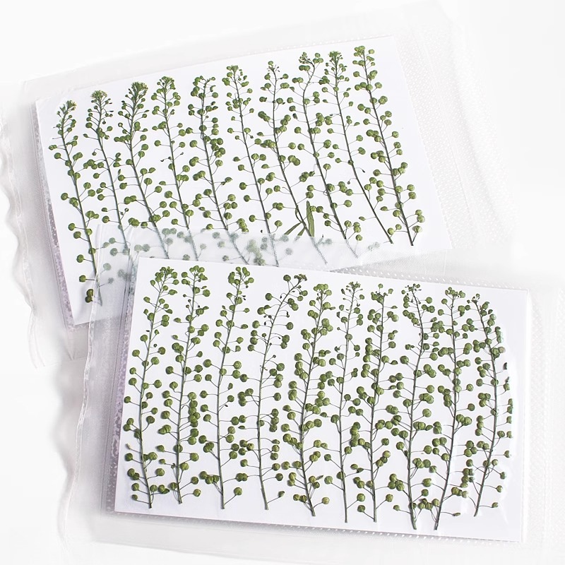 Colore naturale Campana verde  - Photo Frame Baby recensione e prezzo