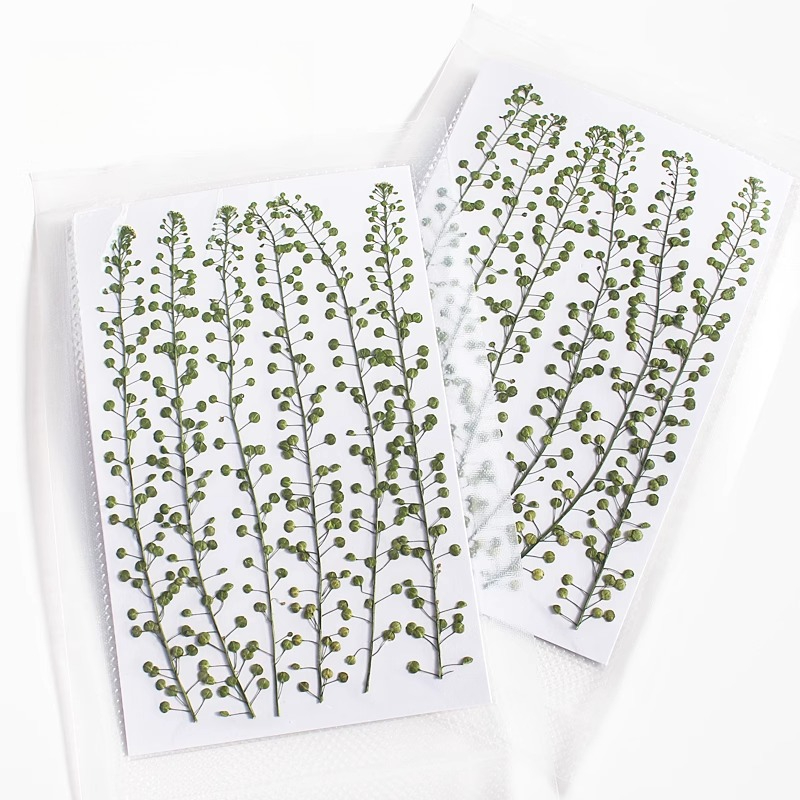 Colore naturale Campana verde  - Photo Frame Baby recensione e prezzo