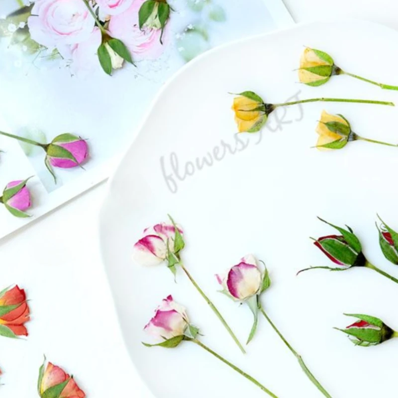 Petali di Rosa Pressati, Fiori - Photo Frame Baby recensione e prezzo