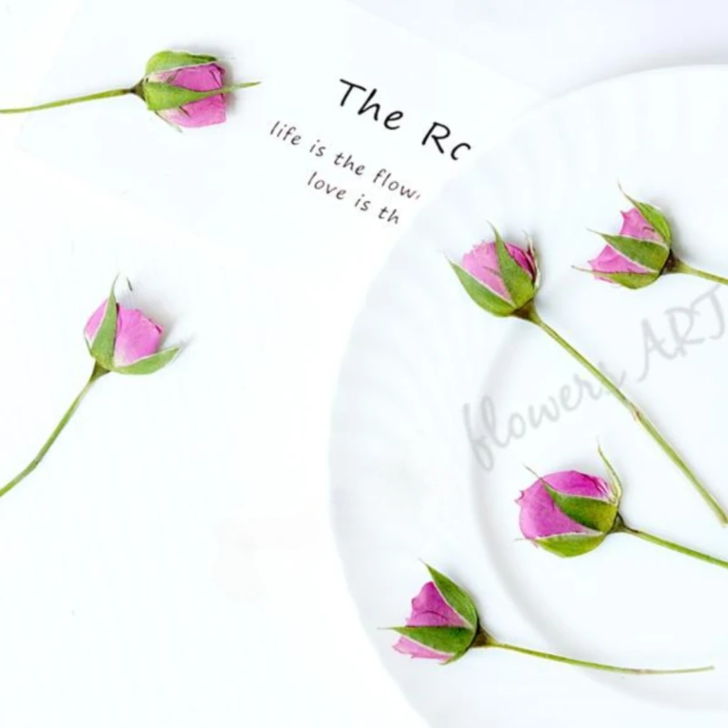 Petali di Rosa Pressati, Fiori - Photo Frame Baby recensione e prezzo