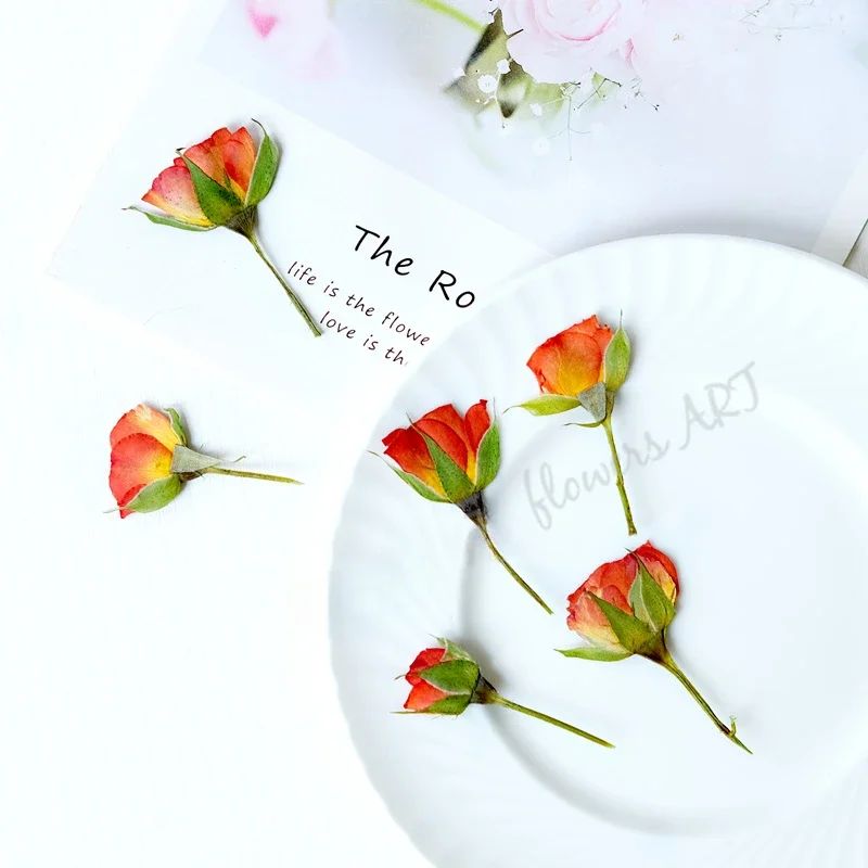 Petali di Rosa Pressati, Fiori - Photo Frame Baby recensione e prezzo