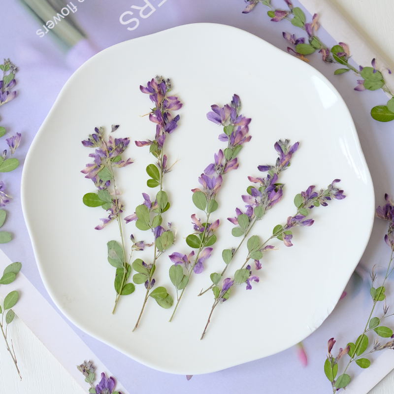 6 Pezzi, Fiori Essiccati e Pre - Photo Frame Baby recensione e prezzo