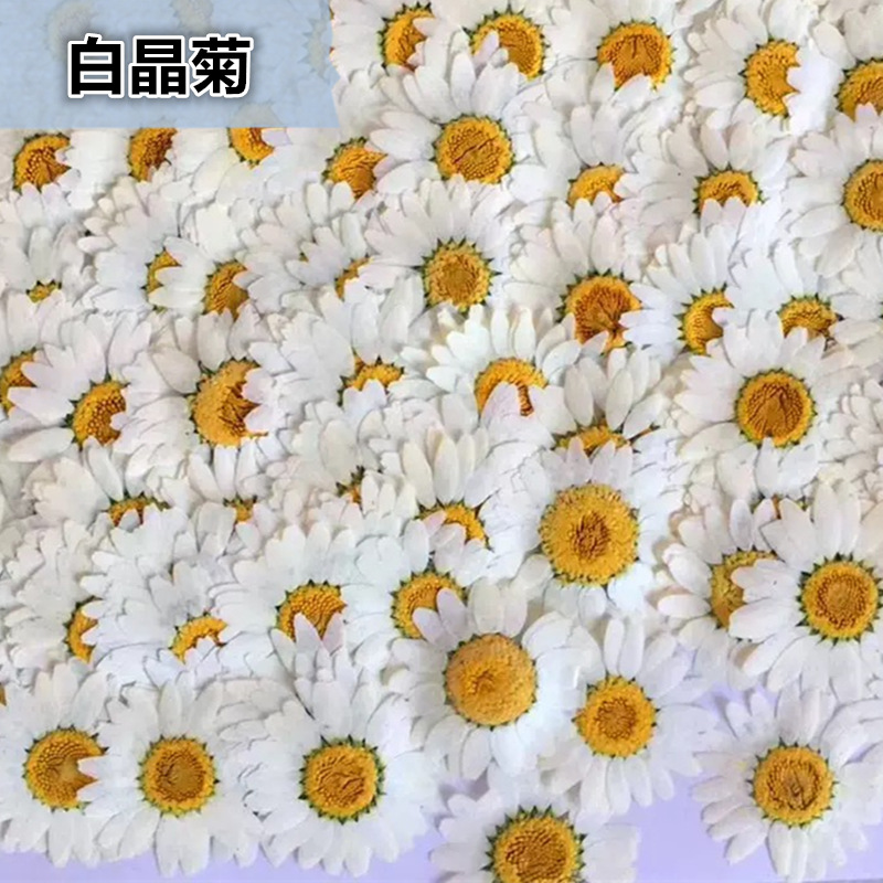 100 Pezzi di Fiori Secchi Natu - Photo Frame Baby recensione e prezzo