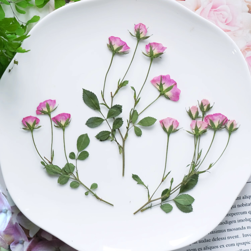 12 Pezzi, Mini Rose Rosa Press - Photo Frame Baby recensione e prezzo