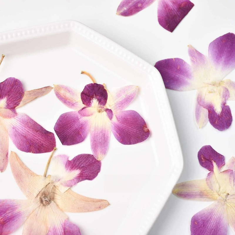 4 Pezzi, Fiori di Orchidea Far - Photo Frame Baby recensione e prezzo