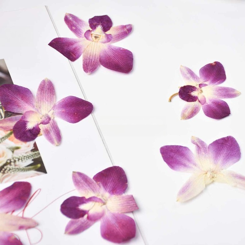 4 Pezzi, Fiori di Orchidea Far - Photo Frame Baby recensione e prezzo