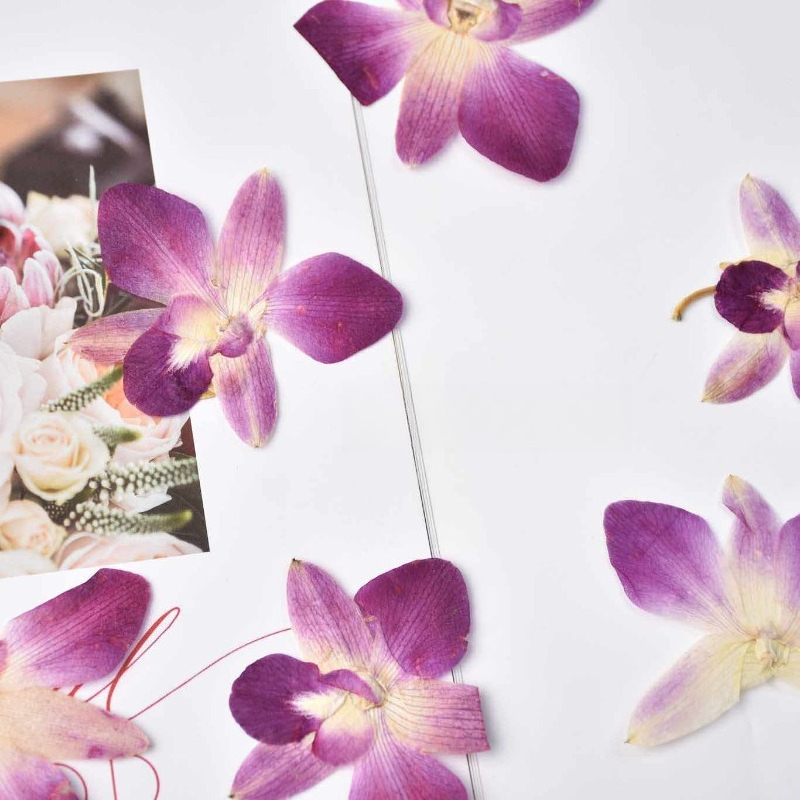4 Pezzi, Fiori di Orchidea Far - Photo Frame Baby recensione e prezzo