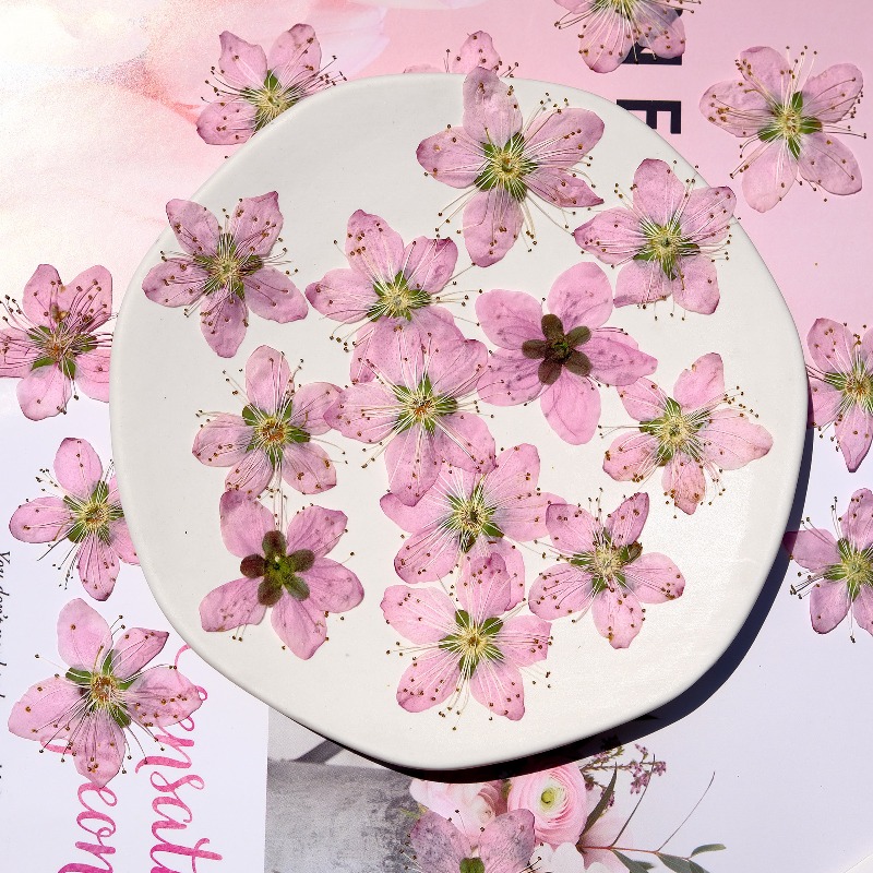 Fiori di pesco pressati ed ess - Photo Frame Baby recensione e prezzo