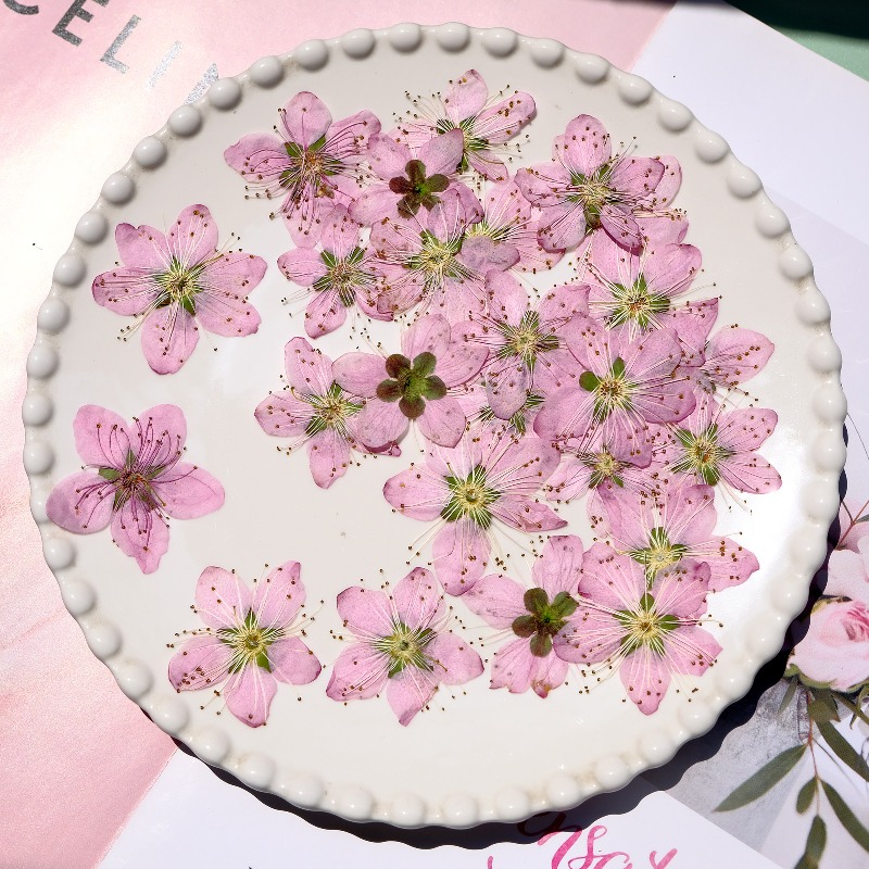 Fiori di pesco pressati ed ess - Photo Frame Baby recensione e prezzo
