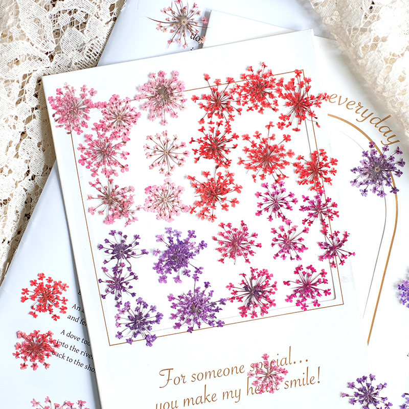 24 Pezzi, 2-2,5 cm, Petali di  - Photo Frame Baby recensione e prezzo