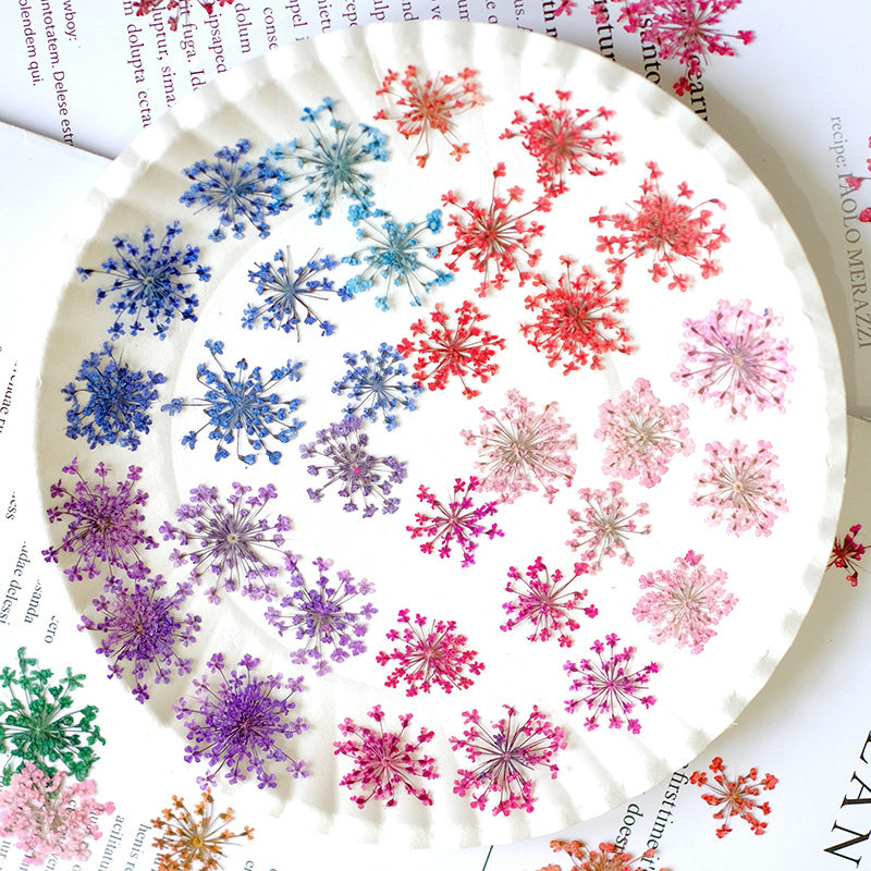 24 Pezzi, 2-2,5 cm, Petali di  - Photo Frame Baby recensione e prezzo