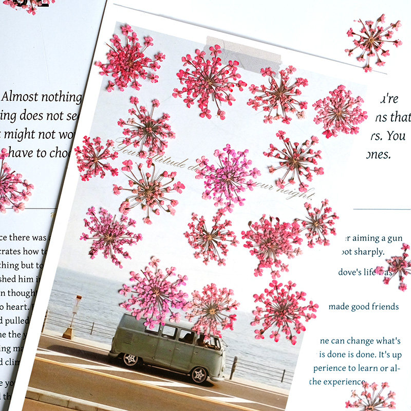 24 Pezzi, 2-2,5 cm, Petali di  - Photo Frame Baby recensione e prezzo