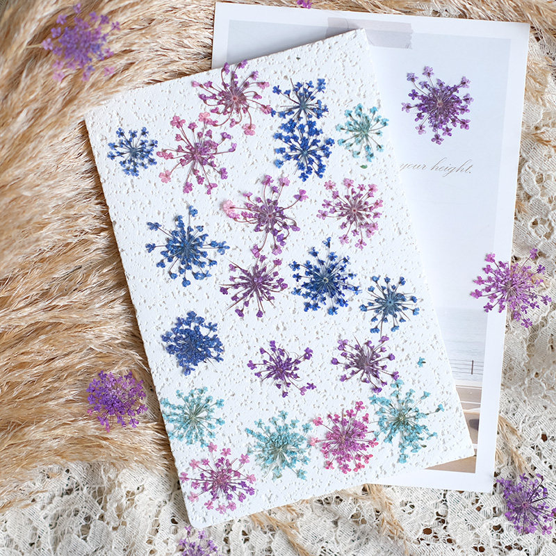 24 Pezzi, 2-2,5 cm, Petali di  - Photo Frame Baby recensione e prezzo