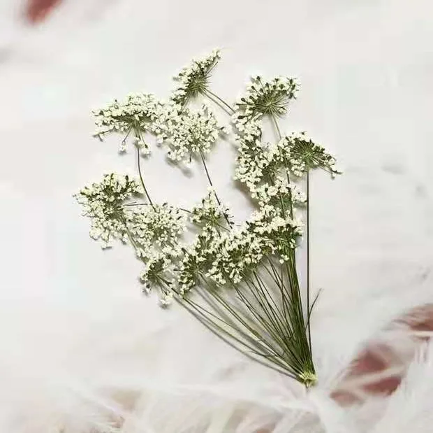 5-7 cm/12 pezzi, piccoli fiori - Photo Frame Baby recensione e prezzo