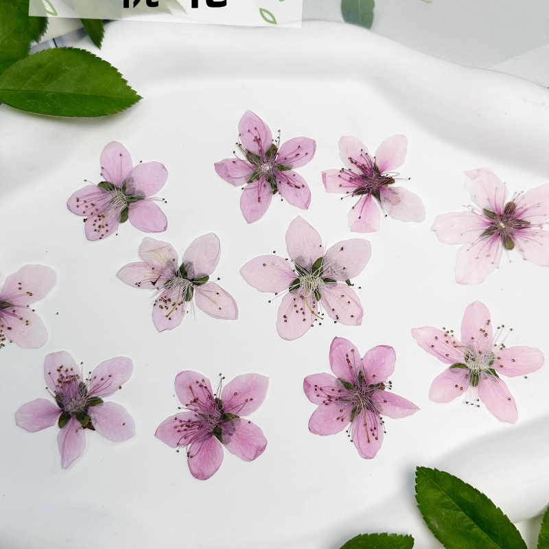 12 Pezzi, Fiori di Pesco Natur - Photo Frame Baby recensione e prezzo